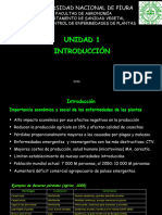 1 Introduccion