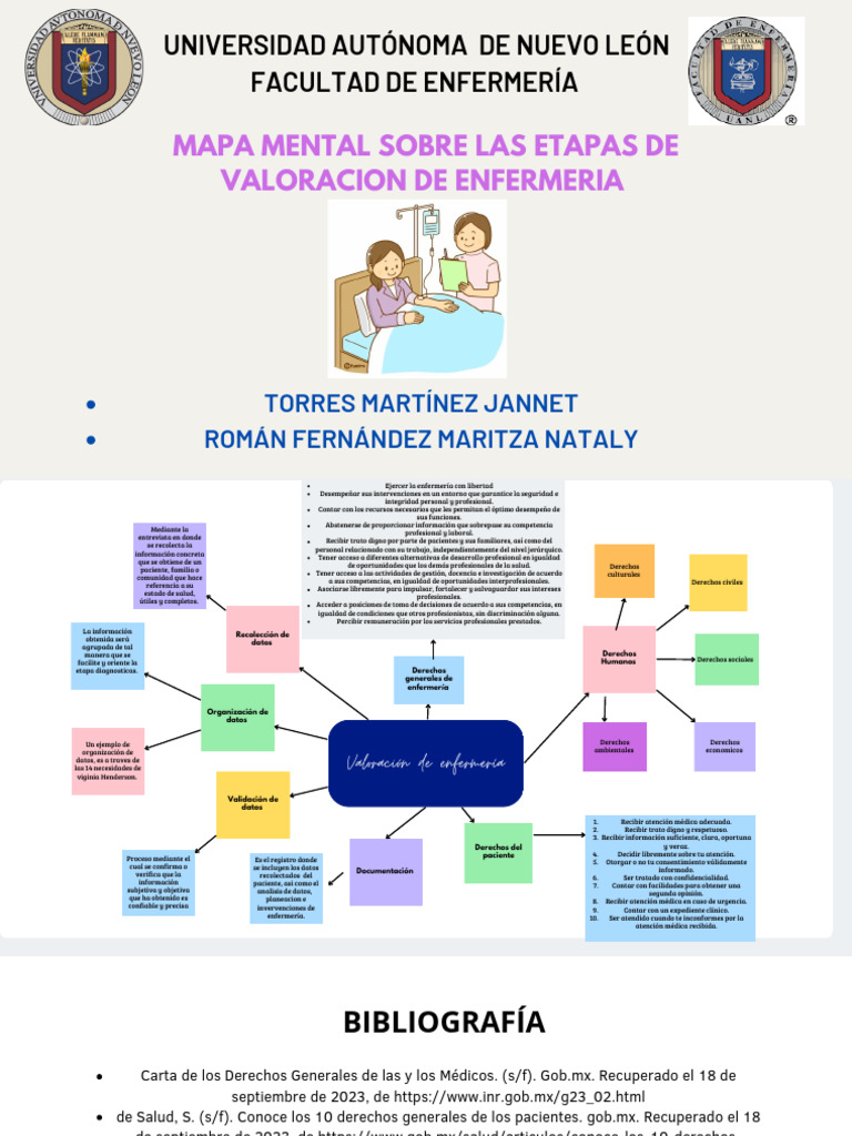 Mapa Mental Teorias | PDF | Enfermería | Cuidado de la salud