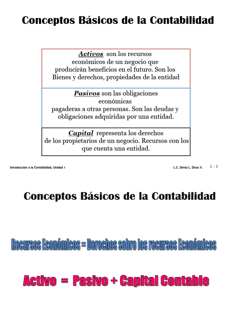 2 conceptos basicos de contabilidad pdf