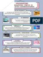 Diabetes Mellitus Tipo 2