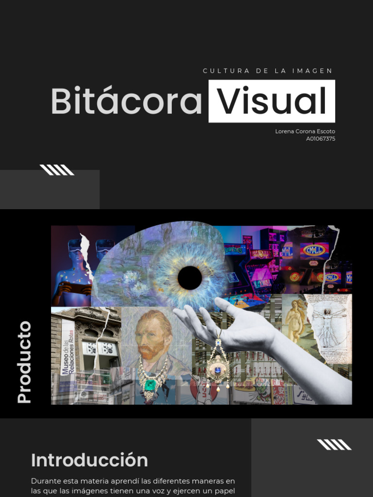 Bitácora Visual: Cultura de la Imagen | PDF