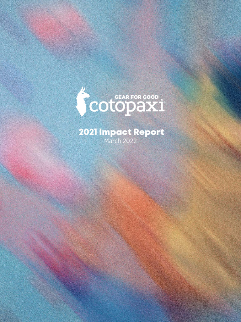 Impact Report 2021 | PDF