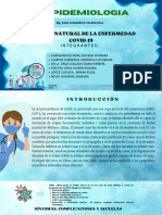 Enfermedad Natural Del Covid - 19