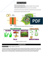 BIOLOGIA Reino Plantae