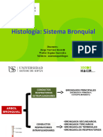 02.-APARATO RESPIRATORIO Histología Sistema Bronquial USS PRACTICA