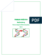 Trabajo Practico Mutaciones