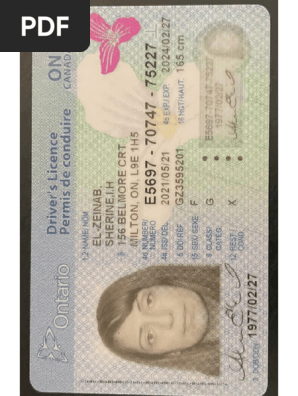 Driver License