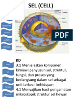 Sel, Organel Sel, Dan Transpor Membran