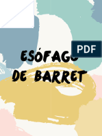 Esófago de Barret