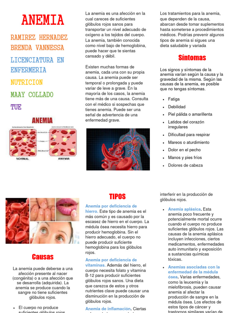 Signos y causas de la anemia | PDF | Anemia | Glóbulo rojo