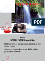 BAB 1 Sistem Ekskresi Manusia