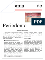 Anatomia Do Periodonto