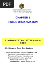 Download Chapter 5 Tissue by api-3740216 SN6749280 doc pdf