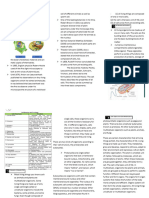 Biology Notes L1-L6