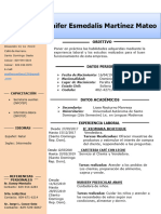 Curriculum Vitae Yenifer Martinez Mateo