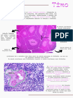 Resumo Histo e Fisio