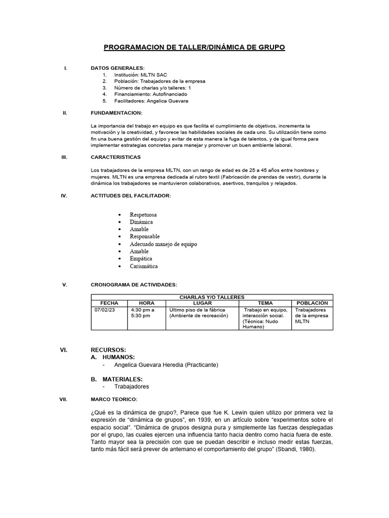 Taller de Trabajo en Equipo MLTN | PDF | Psicología Social | Sicología