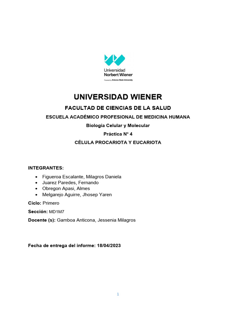 Informe 04 word pdf biolog a celular citoplasma
