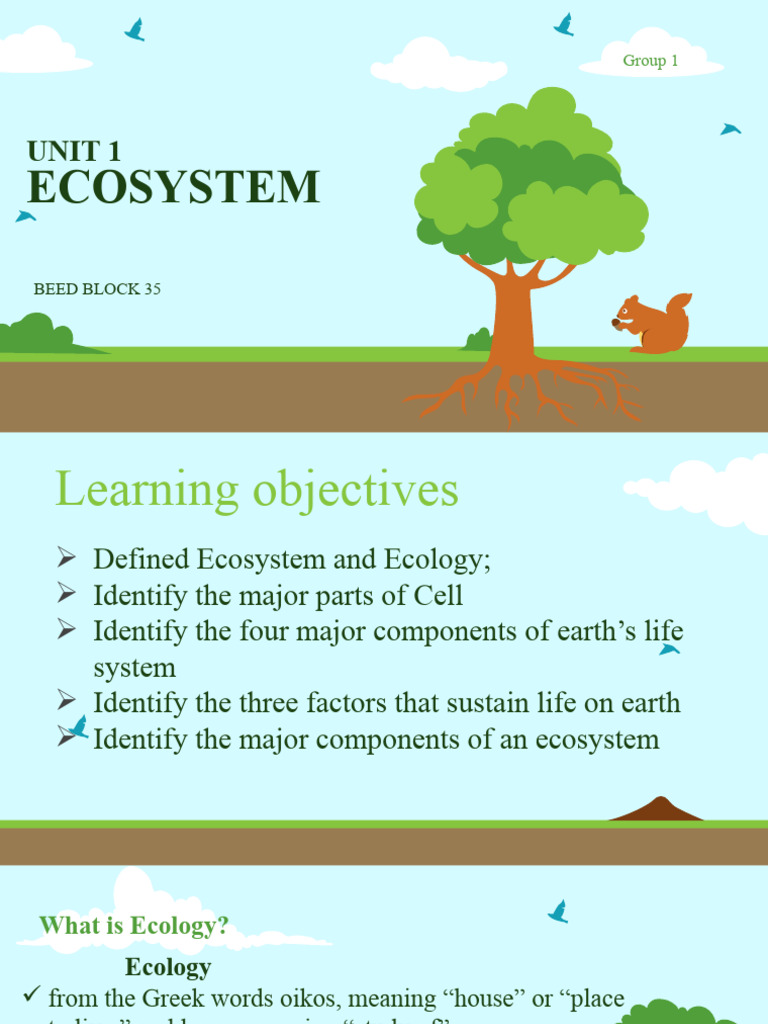 ECOSYSTEM | PDF