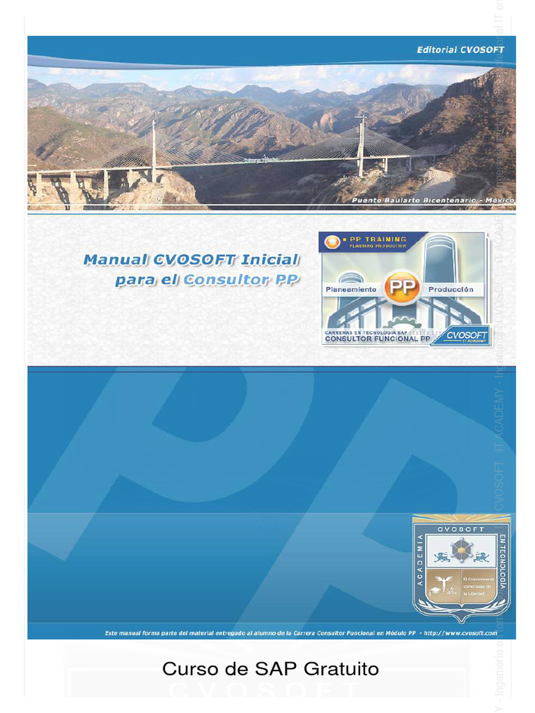 Manual Sap Gratuito | PDF | Planificación de recursos empresariales ...