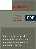 10.sinif Biyoloji Eseyli Ureme Konu Anlatimi