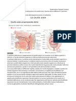 18.Anatomia II Lezione 18-05-2022