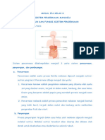 Sistem Pencernaan Manusia