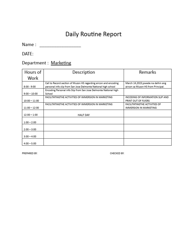 Sample Daily-Routine-Report | PDF