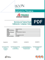 Propuesta - TPN - Ixtal 5 - Calibración - Limpieza - Induccion - V1