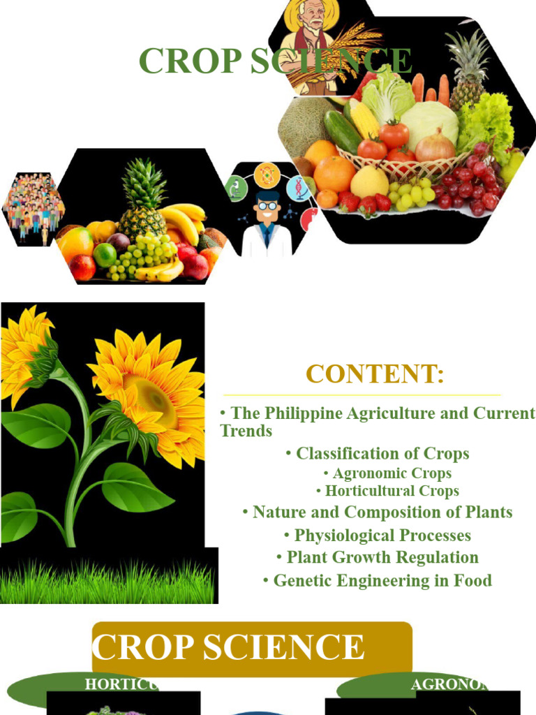 Current Trends in Philippine Agriculture | PDF