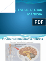 Sistem Saraf Otak Manusia