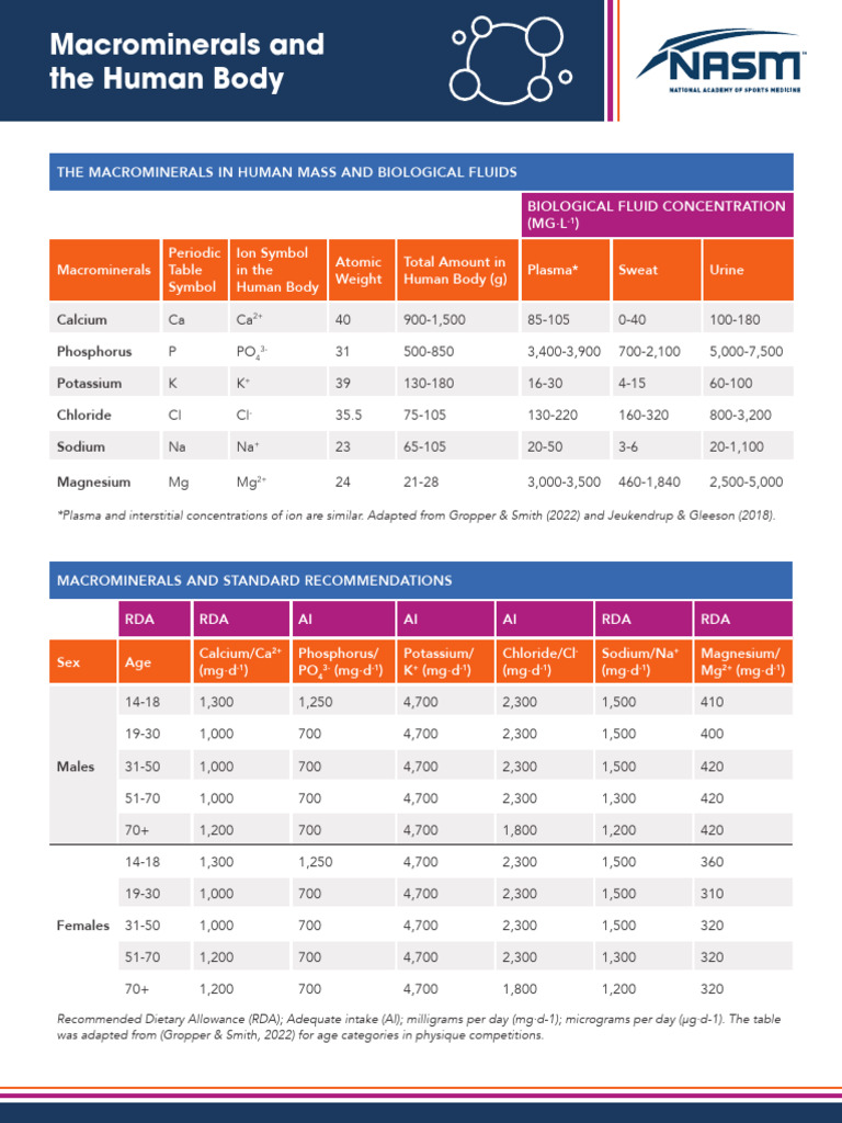 NASM PBC Handout Macrominerals Human Body | PDF | Magnesium | Chloride