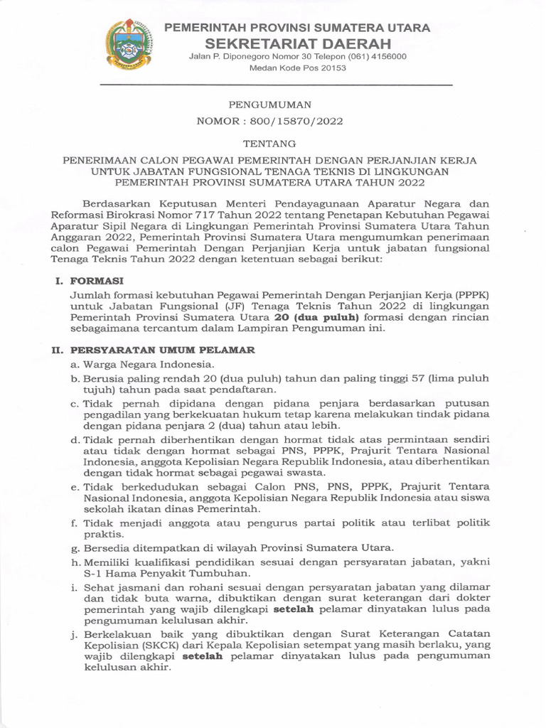 Pengumuman_PPPK_Tenaga_Teknis | PDF