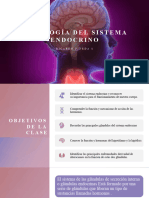 Fisiología Endocrina