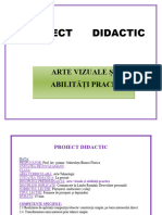 16 Proiect Didactic Avap