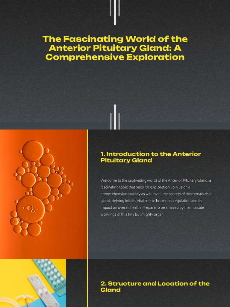 The Fascinating World of The Anterior Pituitary Gland A Comprehensive