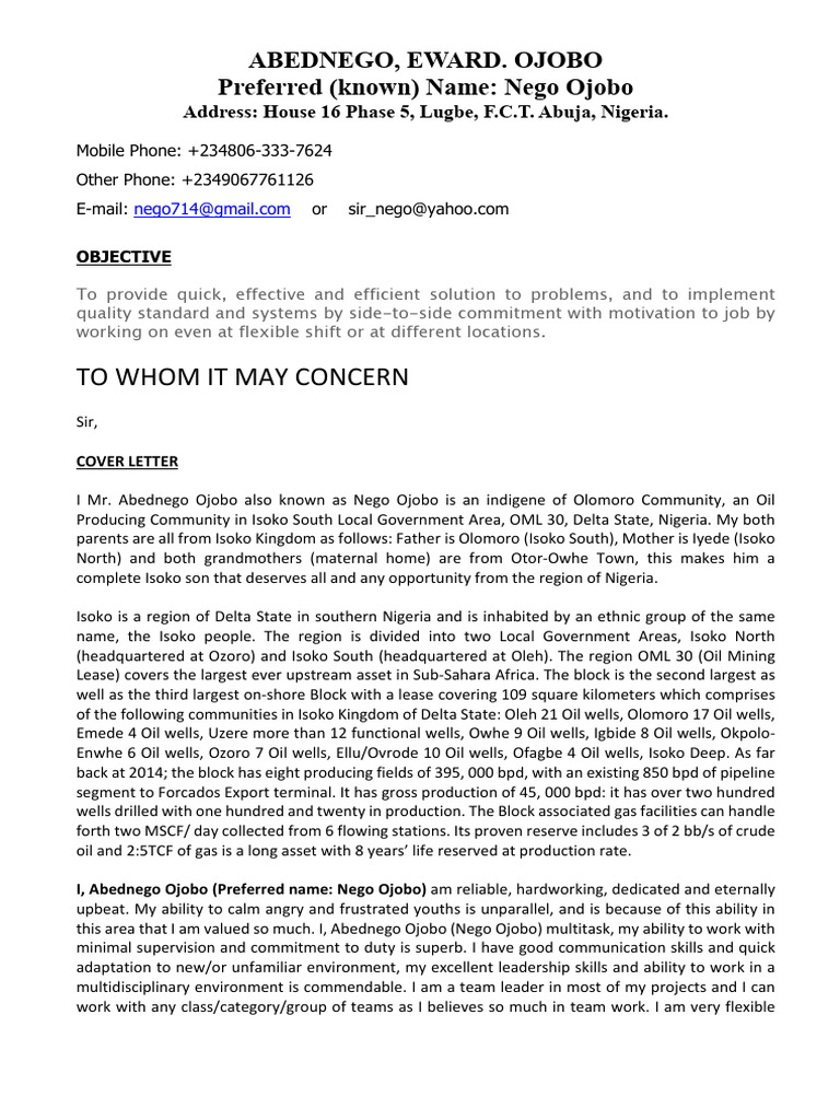 HOW TO WRITE CV AND COVER LETTER PDF visual data 8