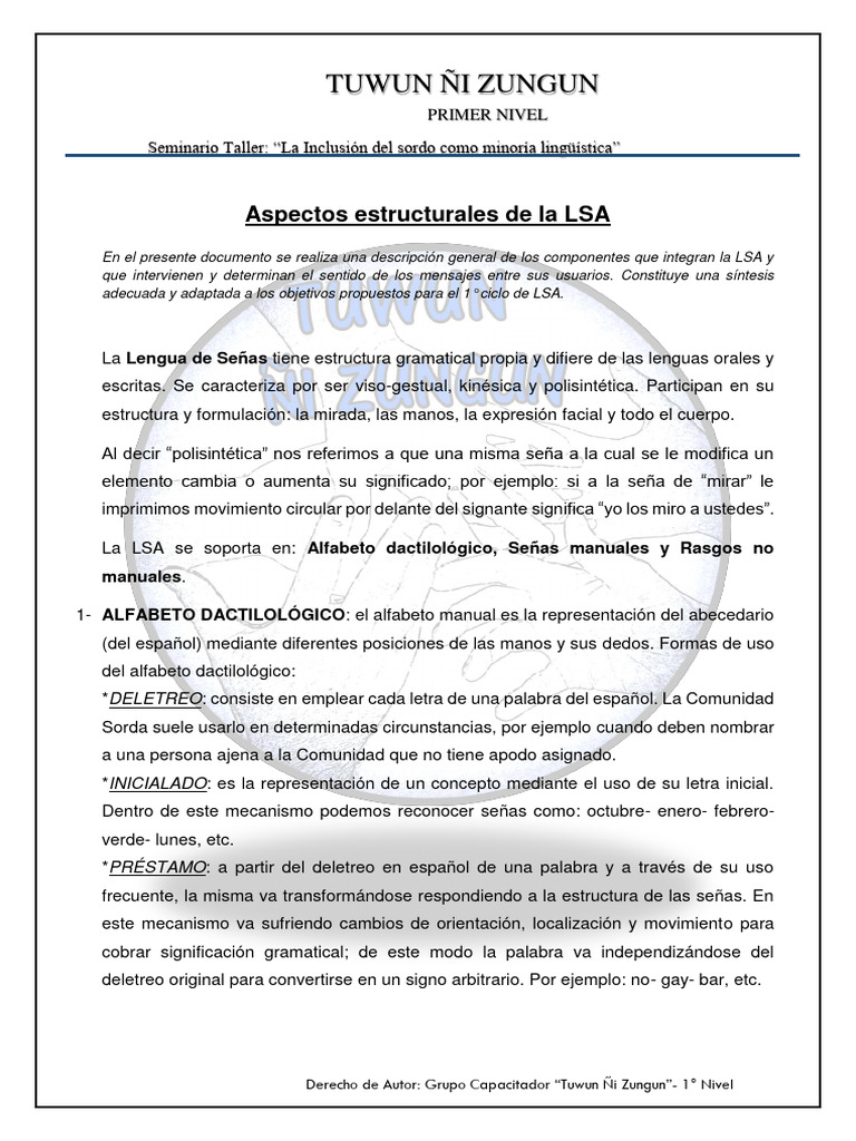 Estructura y Uso de la LSA | PDF