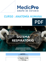 Tema 3 - Anatomía Respiratoria Aqua