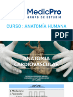 Tema 4 - Anatomía Cardiovascular Aqua