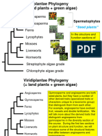 02a Supplemental Slides Seed Plant Taxonomic Terminology 2023