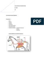 Guia Anatomia Aparato Digestivo