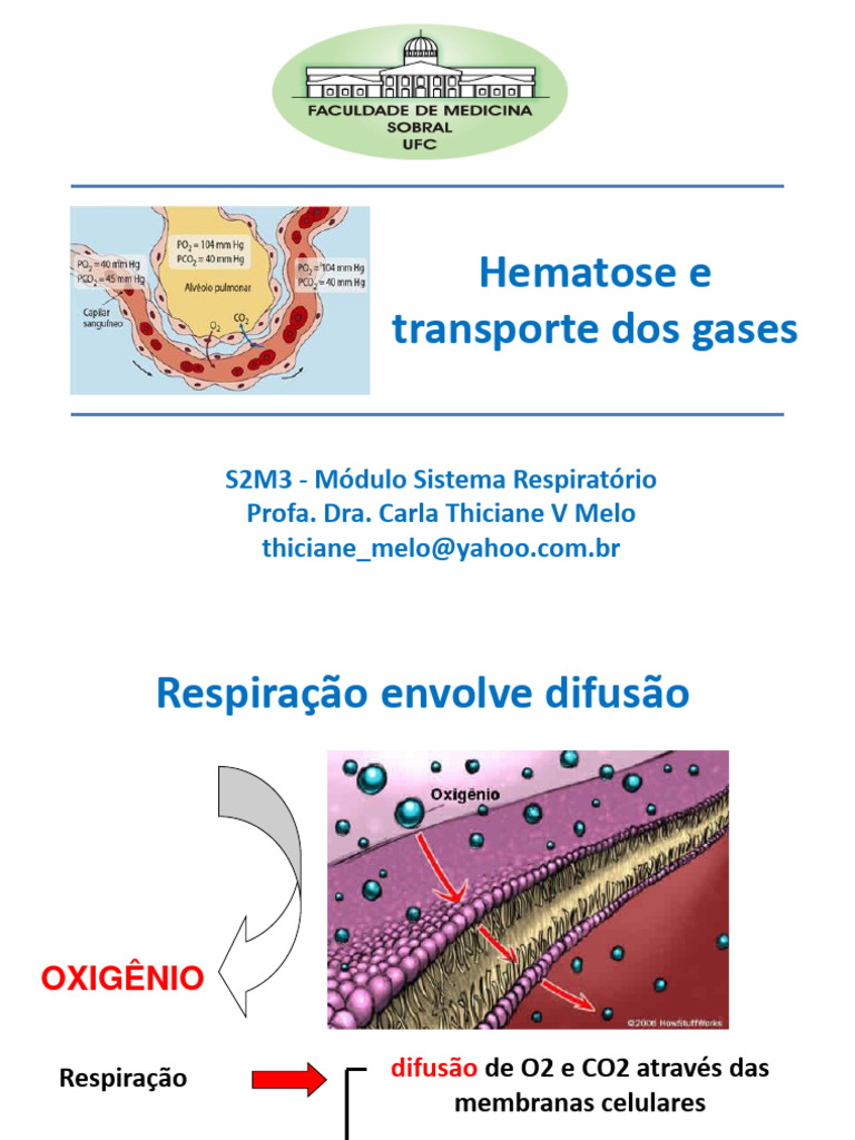 Hematose e Transporte de Gases Respiratórios | PDF