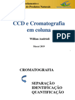 AULA 2 - CCD e CL