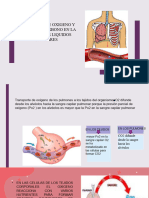 Transporte de Oxigeno y Dioxido de Carbono en La Sangre y Los Liquidos Tisulares