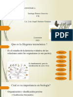 Filogenia Taxonomica