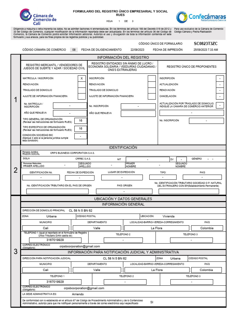 formula-rio-pdf-negocios-econ-micos-economias