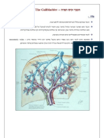 �סטולוגיה 1 - כבד מרה ולבלב אורי