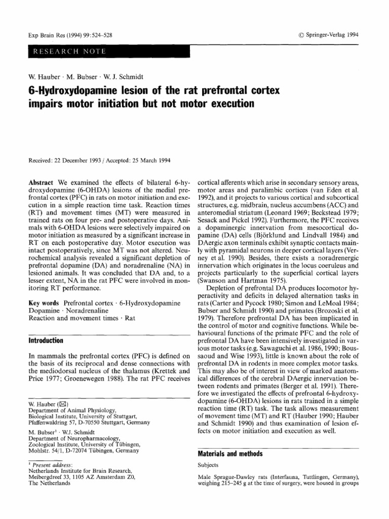 6-Hydroxydopamine Lesion of The Rat Prefrontal Cortex | PDF
