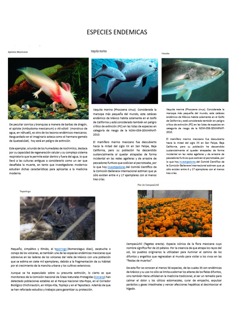 ESPECIES ENDEMICAS | PDF